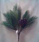 Pine Spray